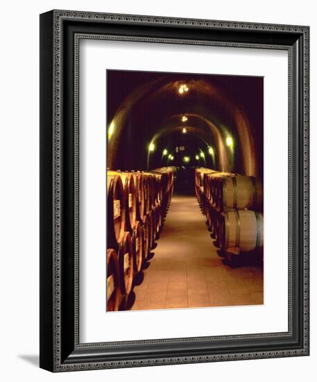 Wine Cave at the Pine Ridge Winery on the Silverado Trail, Napa Valley, California, USA-John Alves-Framed Photographic Print