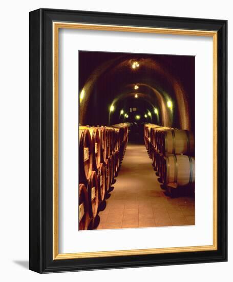 Wine Cave at the Pine Ridge Winery on the Silverado Trail, Napa Valley, California, USA-John Alves-Framed Photographic Print