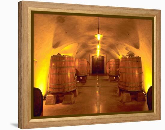 Wine Caves at the Viansa Winery, Sonoma County, California, USA-John Alves-Framed Premier Image Canvas