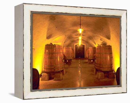 Wine Caves at the Viansa Winery, Sonoma County, California, USA-John Alves-Framed Premier Image Canvas