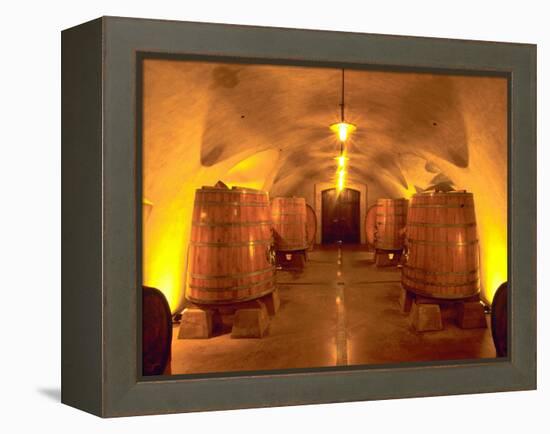 Wine Caves at the Viansa Winery, Sonoma County, California, USA-John Alves-Framed Premier Image Canvas