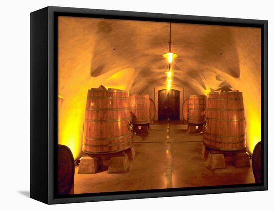 Wine Caves at the Viansa Winery, Sonoma County, California, USA-John Alves-Framed Premier Image Canvas