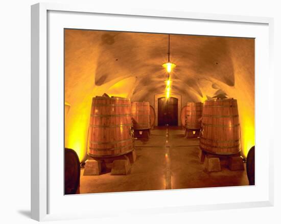 Wine Caves at the Viansa Winery, Sonoma County, California, USA-John Alves-Framed Photographic Print