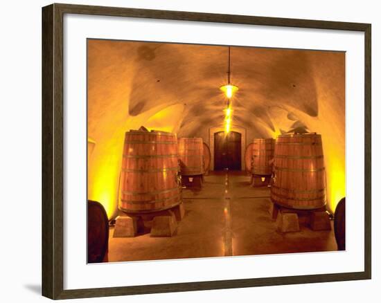 Wine Caves at the Viansa Winery, Sonoma County, California, USA-John Alves-Framed Photographic Print