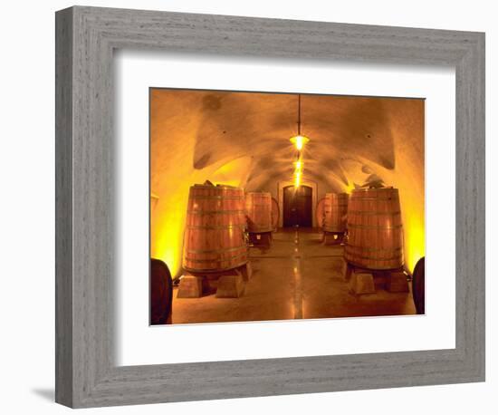 Wine Caves at the Viansa Winery, Sonoma County, California, USA-John Alves-Framed Photographic Print