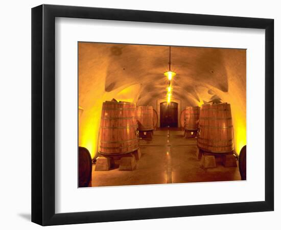 Wine Caves at the Viansa Winery, Sonoma County, California, USA-John Alves-Framed Photographic Print