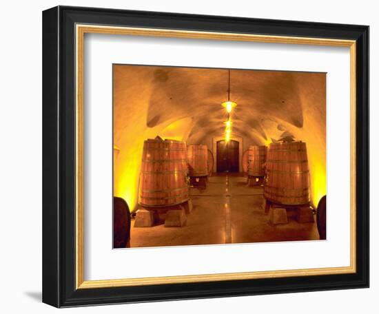 Wine Caves at the Viansa Winery, Sonoma County, California, USA-John Alves-Framed Photographic Print