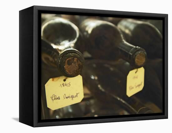 Wine Cellar and Bottles of Clos De Vougeot, France-Per Karlsson-Framed Premier Image Canvas