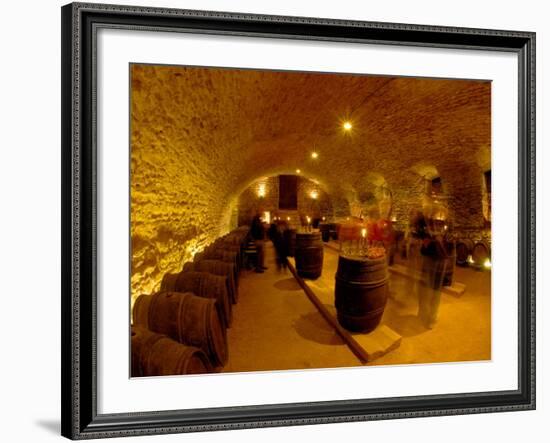 Wine Cellar of Chateau de Pierreclos, Burgundy, France-Lisa S. Engelbrecht-Framed Photographic Print