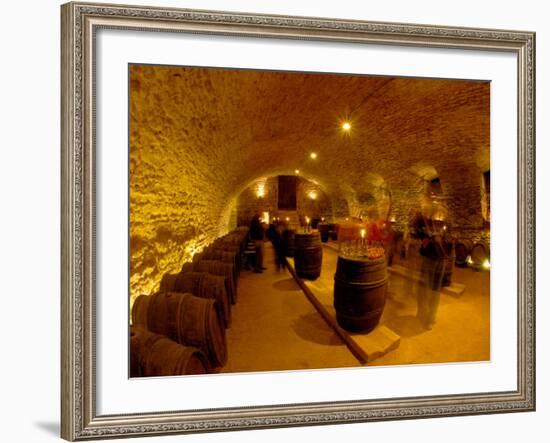 Wine Cellar of Chateau de Pierreclos, Burgundy, France-Lisa S. Engelbrecht-Framed Photographic Print