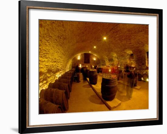 Wine Cellar of Chateau de Pierreclos, Burgundy, France-Lisa S. Engelbrecht-Framed Photographic Print