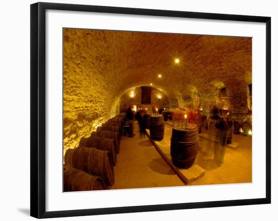 Wine Cellar of Chateau de Pierreclos, Burgundy, France-Lisa S. Engelbrecht-Framed Photographic Print