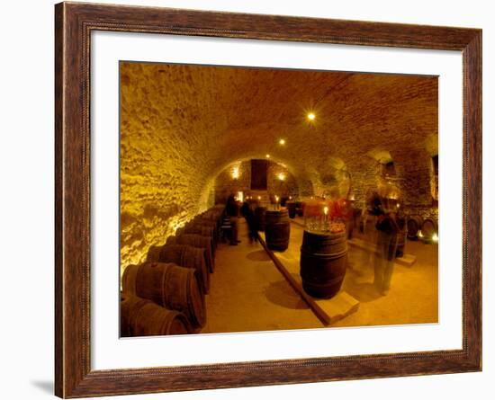 Wine Cellar of Chateau de Pierreclos, Burgundy, France-Lisa S. Engelbrecht-Framed Photographic Print