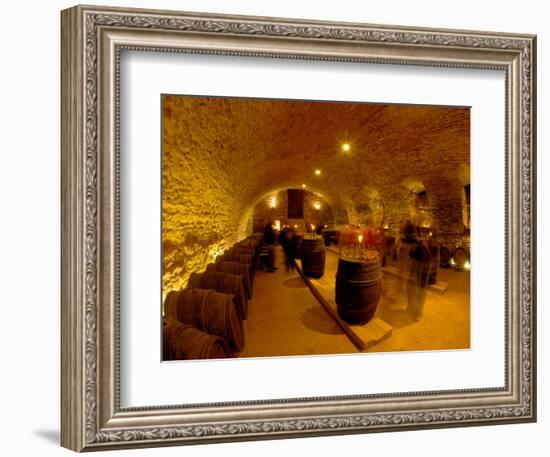 Wine Cellar of Chateau de Pierreclos, Burgundy, France-Lisa S. Engelbrecht-Framed Photographic Print