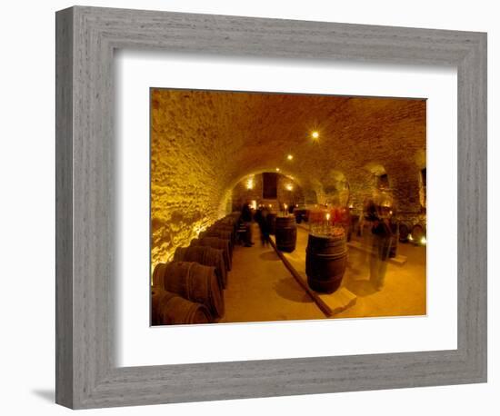 Wine Cellar of Chateau de Pierreclos, Burgundy, France-Lisa S. Engelbrecht-Framed Photographic Print