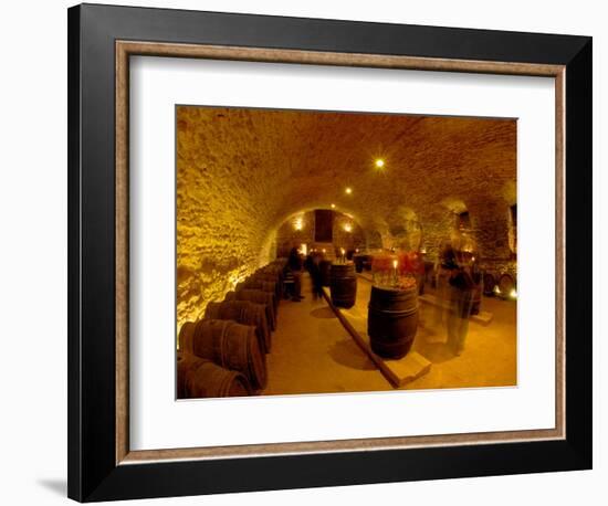 Wine Cellar of Chateau de Pierreclos, Burgundy, France-Lisa S. Engelbrecht-Framed Photographic Print