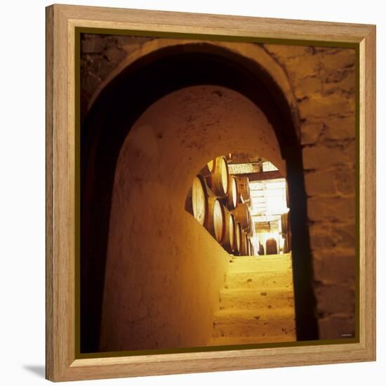 Wine Cellar of Crama Urlateanu Winery, Romania-Armin Faber-Framed Premier Image Canvas