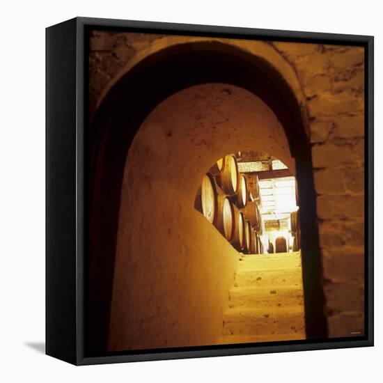 Wine Cellar of Crama Urlateanu Winery, Romania-Armin Faber-Framed Premier Image Canvas