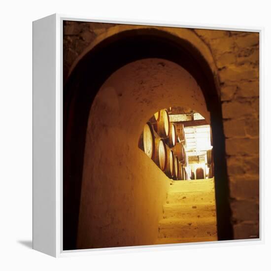 Wine Cellar of Crama Urlateanu Winery, Romania-Armin Faber-Framed Premier Image Canvas
