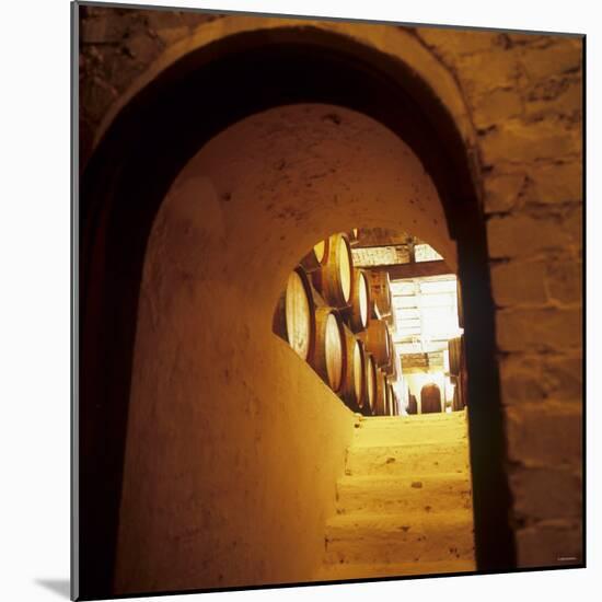 Wine Cellar of Crama Urlateanu Winery, Romania-Armin Faber-Mounted Photographic Print