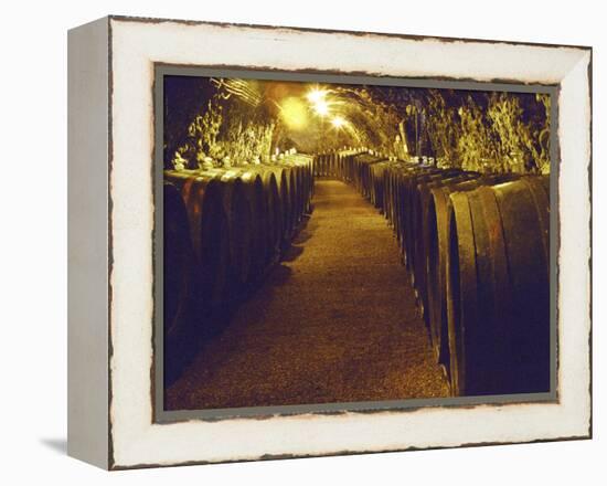 Wine Cellar with Tunnels of Wooden Barrels and Tokaj Wine, Royal Tokaji Wine Company, Mad, Hungary-Per Karlsson-Framed Premier Image Canvas