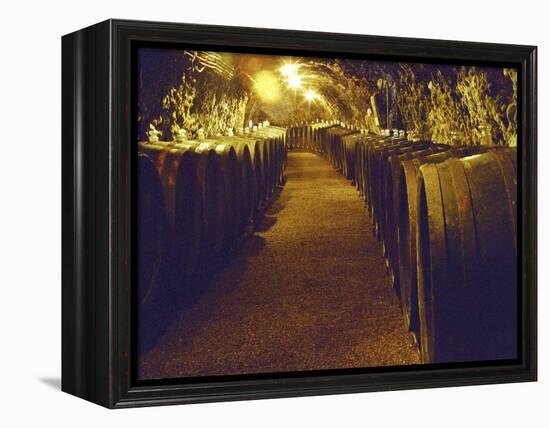 Wine Cellar with Tunnels of Wooden Barrels and Tokaj Wine, Royal Tokaji Wine Company, Mad, Hungary-Per Karlsson-Framed Premier Image Canvas