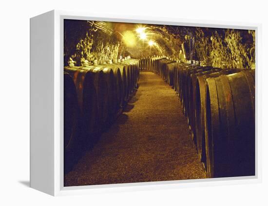 Wine Cellar with Tunnels of Wooden Barrels and Tokaj Wine, Royal Tokaji Wine Company, Mad, Hungary-Per Karlsson-Framed Premier Image Canvas