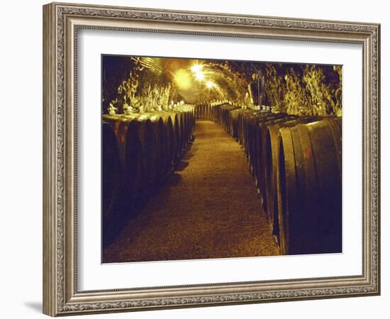 Wine Cellar with Tunnels of Wooden Barrels and Tokaj Wine, Royal Tokaji Wine Company, Mad, Hungary-Per Karlsson-Framed Photographic Print