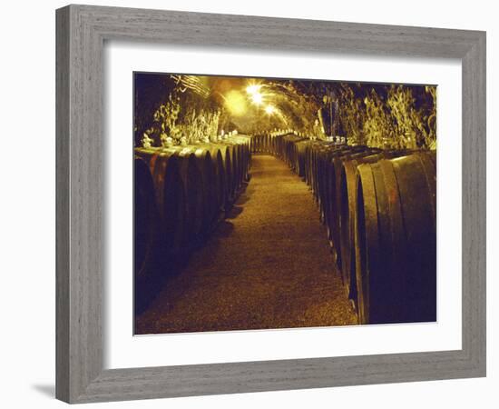 Wine Cellar with Tunnels of Wooden Barrels and Tokaj Wine, Royal Tokaji Wine Company, Mad, Hungary-Per Karlsson-Framed Photographic Print