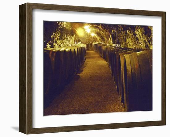 Wine Cellar with Tunnels of Wooden Barrels and Tokaj Wine, Royal Tokaji Wine Company, Mad, Hungary-Per Karlsson-Framed Photographic Print