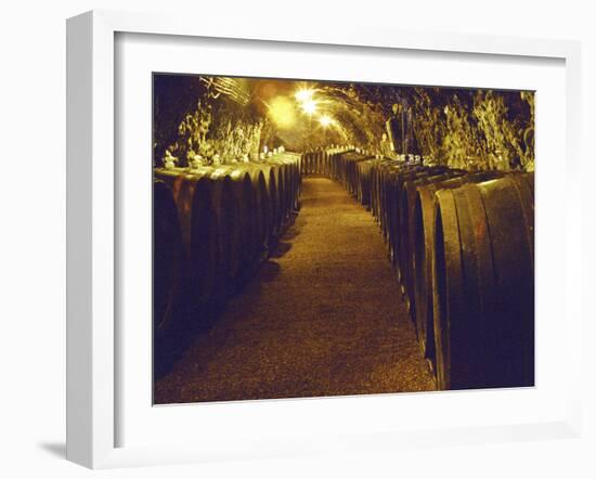 Wine Cellar with Tunnels of Wooden Barrels and Tokaj Wine, Royal Tokaji Wine Company, Mad, Hungary-Per Karlsson-Framed Photographic Print