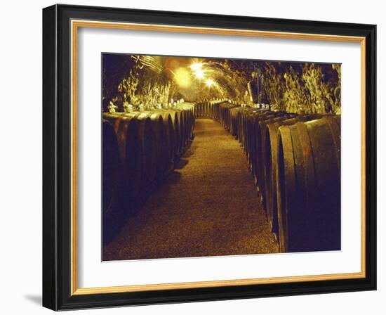 Wine Cellar with Tunnels of Wooden Barrels and Tokaj Wine, Royal Tokaji Wine Company, Mad, Hungary-Per Karlsson-Framed Photographic Print