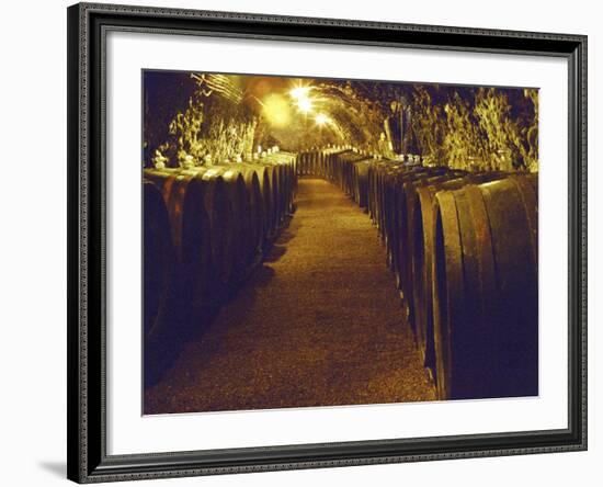 Wine Cellar with Tunnels of Wooden Barrels and Tokaj Wine, Royal Tokaji Wine Company, Mad, Hungary-Per Karlsson-Framed Photographic Print