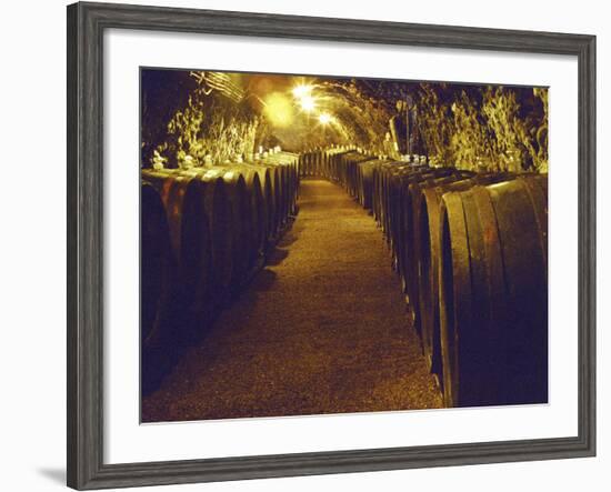 Wine Cellar with Tunnels of Wooden Barrels and Tokaj Wine, Royal Tokaji Wine Company, Mad, Hungary-Per Karlsson-Framed Photographic Print