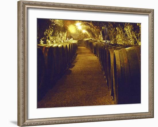 Wine Cellar with Tunnels of Wooden Barrels and Tokaj Wine, Royal Tokaji Wine Company, Mad, Hungary-Per Karlsson-Framed Photographic Print