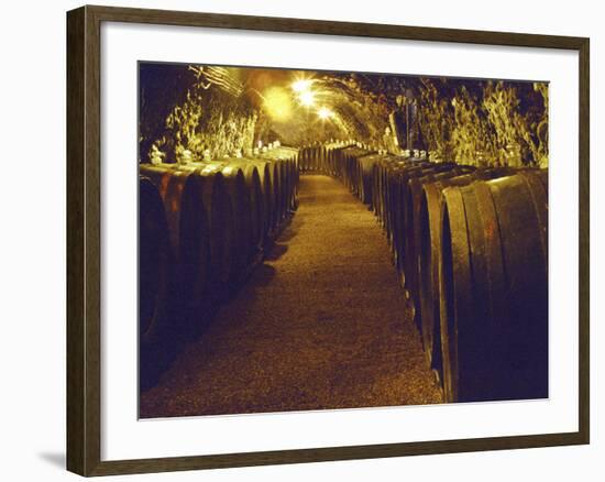 Wine Cellar with Tunnels of Wooden Barrels and Tokaj Wine, Royal Tokaji Wine Company, Mad, Hungary-Per Karlsson-Framed Photographic Print