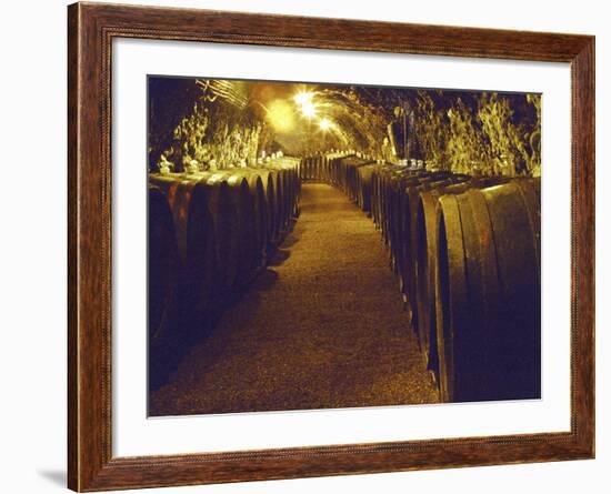 Wine Cellar with Tunnels of Wooden Barrels and Tokaj Wine, Royal Tokaji Wine Company, Mad, Hungary-Per Karlsson-Framed Photographic Print