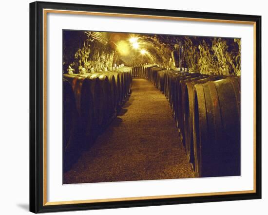 Wine Cellar with Tunnels of Wooden Barrels and Tokaj Wine, Royal Tokaji Wine Company, Mad, Hungary-Per Karlsson-Framed Photographic Print