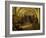 Wine Cellar with Wine Barrels-null-Framed Giclee Print