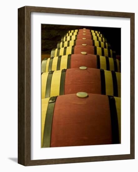 Wine Celler in Catalonia, Spain-Carlos Sanchez Pereyra-Framed Photographic Print