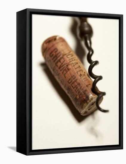 Wine Cork with Corkscrew-Joerg Lehmann-Framed Premier Image Canvas