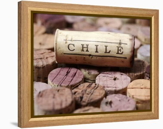 Wine Corks from Chile-Frank Tschakert-Framed Premier Image Canvas