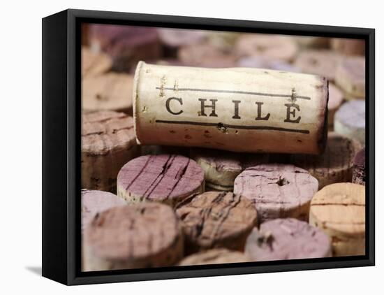 Wine Corks from Chile-Frank Tschakert-Framed Premier Image Canvas