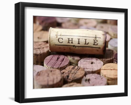 Wine Corks from Chile-Frank Tschakert-Framed Photographic Print