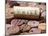 Wine Corks from Chile-Frank Tschakert-Mounted Photographic Print