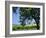 Wine Country in the Napa Valley, California, USA-Fraser Hall-Framed Photographic Print