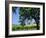 Wine Country in the Napa Valley, California, USA-Fraser Hall-Framed Photographic Print