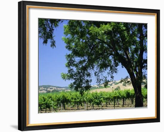 Wine Country in the Napa Valley, California, USA-Fraser Hall-Framed Photographic Print