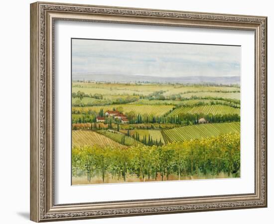 Wine Country View I-Tim O'toole-Framed Art Print