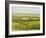 Wine Country View I-Tim O'toole-Framed Art Print